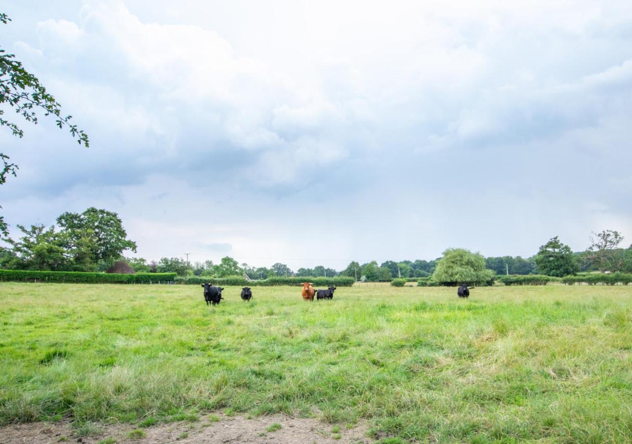 The Milking Parlour Villa Frittenden ภายนอก รูปภาพ